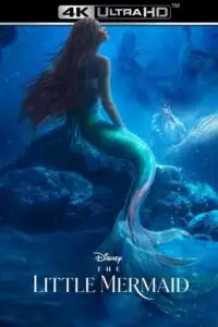 The little mermaid 2023 hindi dubbed org bluray print - vegamovies, VegaMoviesv.com