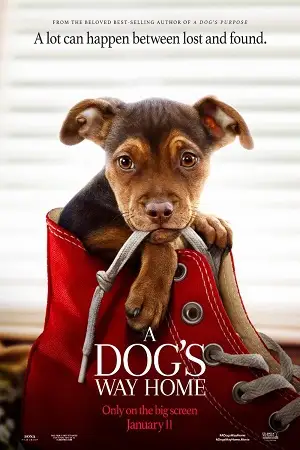 A dogs way home 2019 poster - vegamovies, VegaMoviesv.com