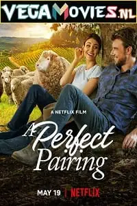 A perfect pairing 1 - vegamovies, VegaMoviesv.com