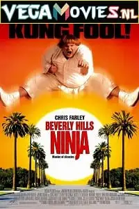 Beverly hills ninja 1997 - vegamovies, VegaMoviesv.com