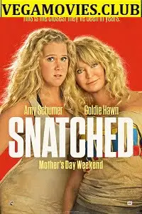 Snatched 2017 - vegamovies, VegaMoviesv.com